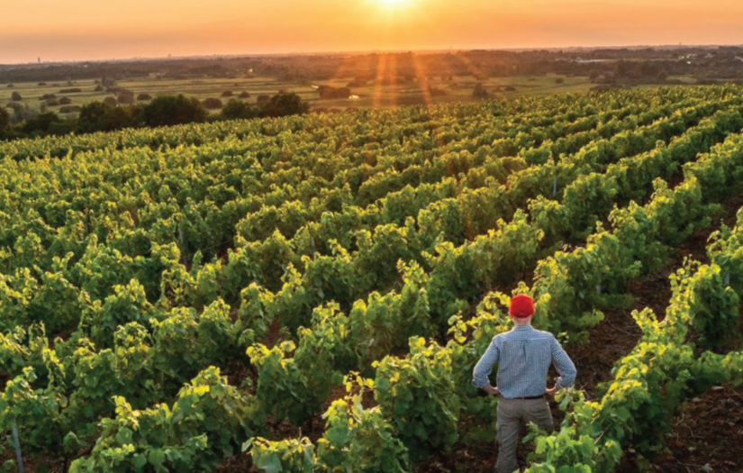 Project Management Application for Agricultural NGOs screenshot 1